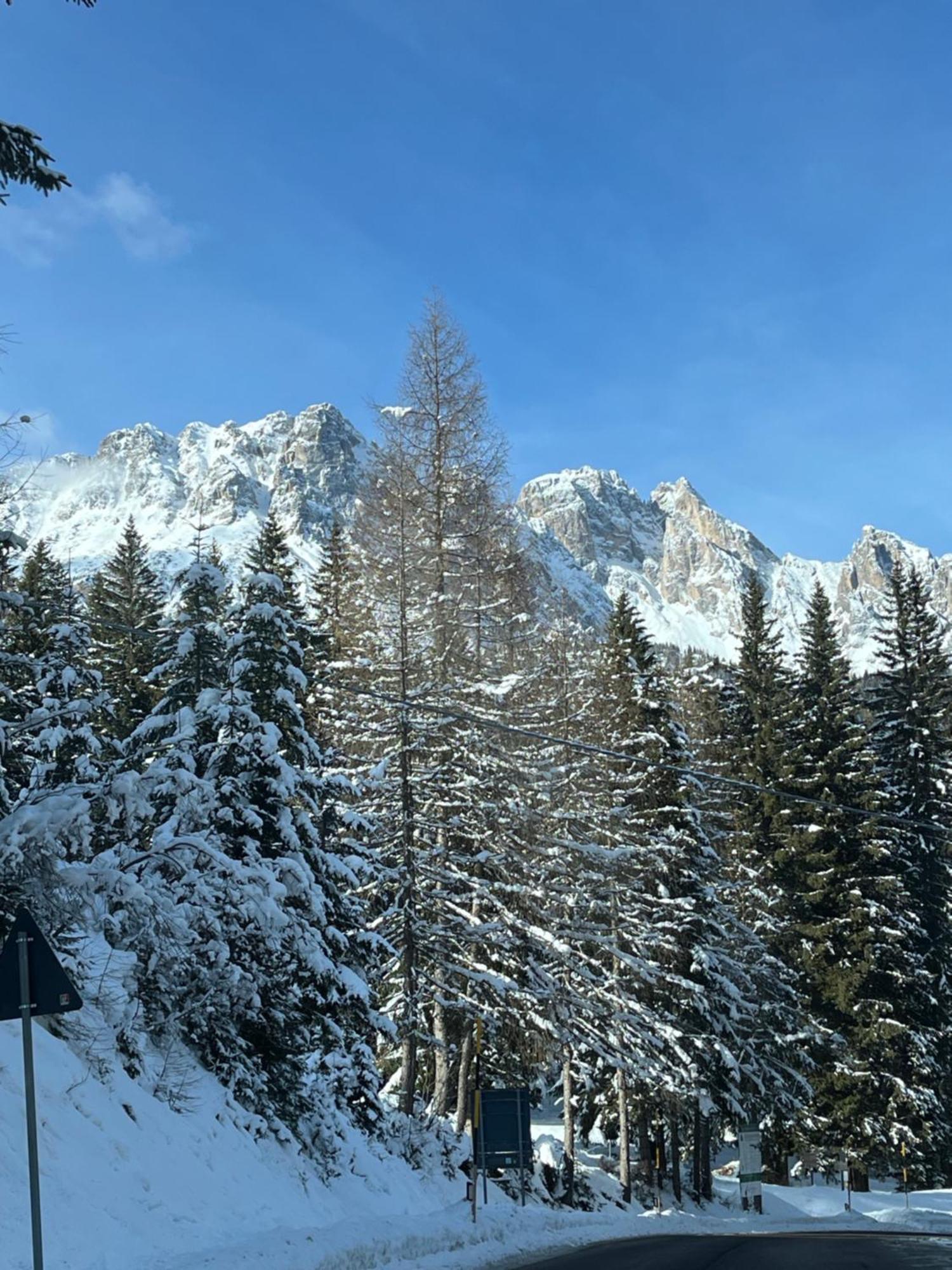Chalet Delle Dolomiti Pieve di Cadore Exteriér fotografie
