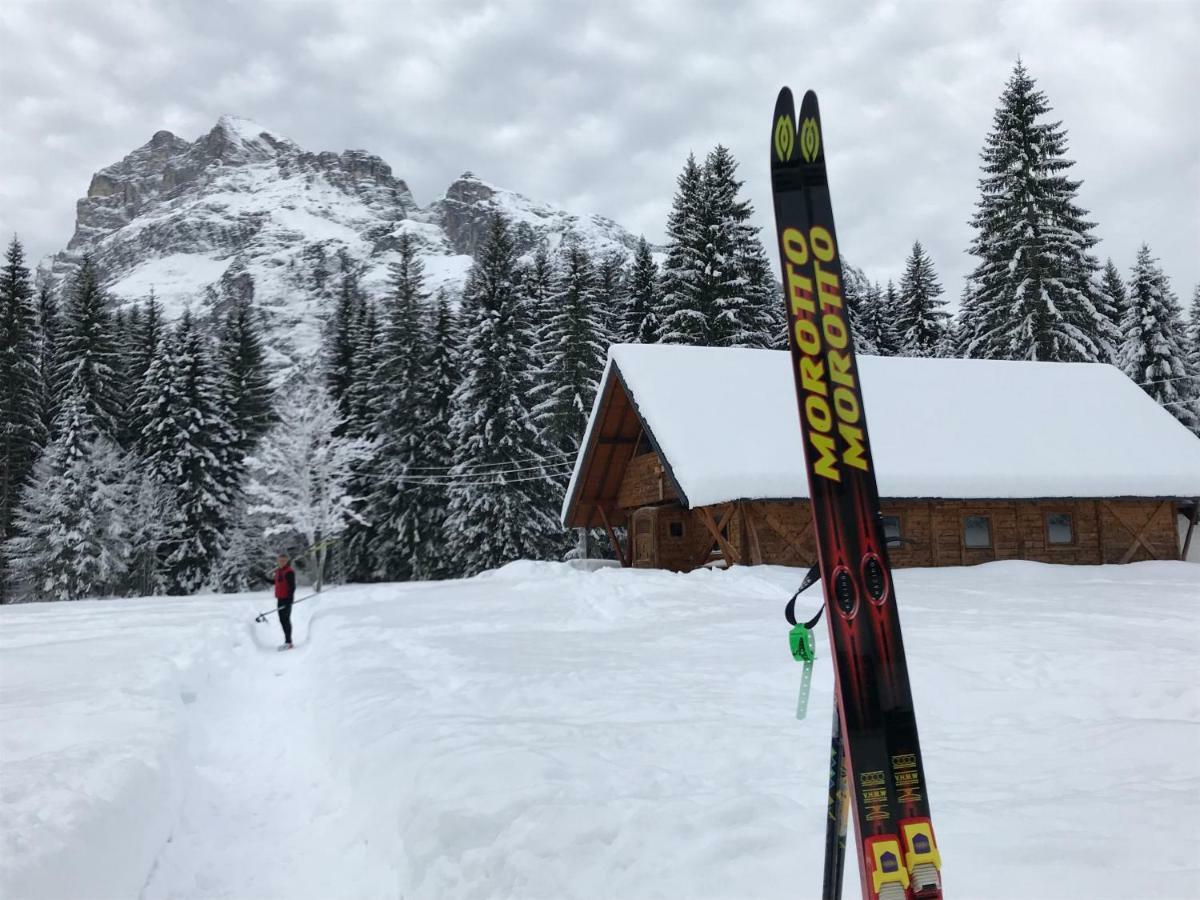 Chalet Delle Dolomiti Pieve di Cadore Exteriér fotografie